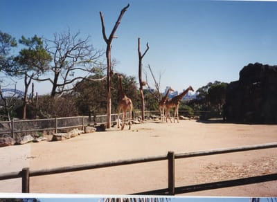 img304.jpg