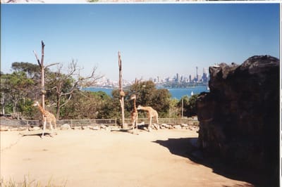 img306.jpg