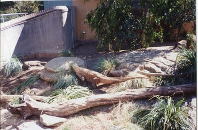 img307.jpg