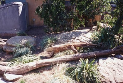img309.jpg