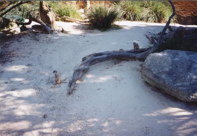 img310.jpg