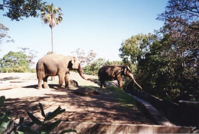 img312.jpg