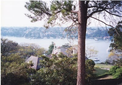 img313.jpg