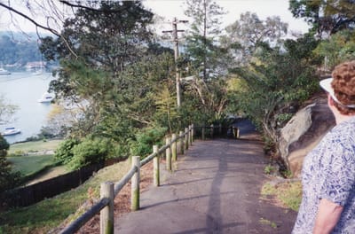 img315.jpg
