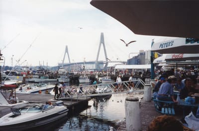 img319.jpg