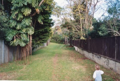 img323 path to Tambourine Bay park.jpg