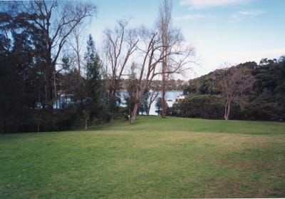 img324 wedding park.jpg