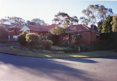 img331.jpg