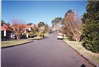 img333.jpg
