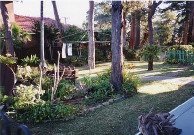 img341.jpg