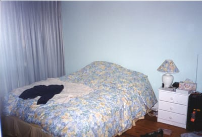 img358.jpg
