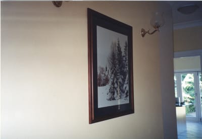 img366.jpg