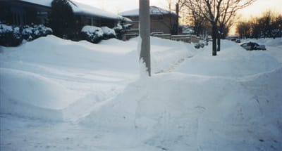 img003.jpg