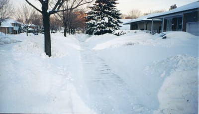 img004.jpg