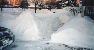 img006.jpg