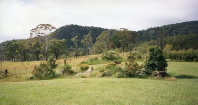 img036.jpg