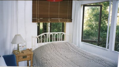 img043.jpg