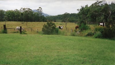 img046.jpg