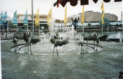 img064.jpg