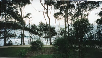 img103.jpg
