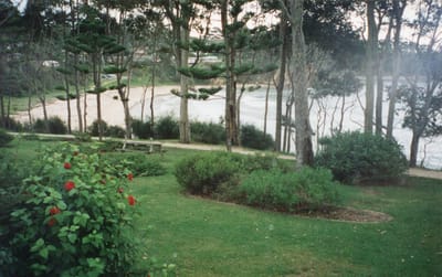 img104.jpg