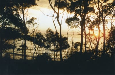 img105.jpg