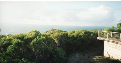 img122.jpg