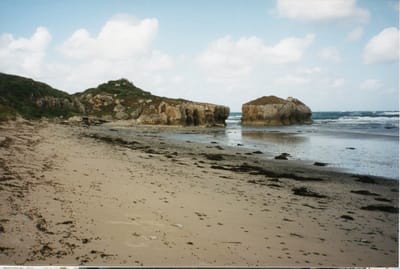 img135.jpg