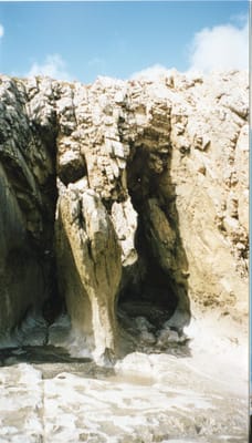 img136.jpg