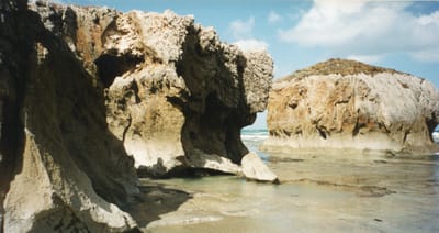 img137.jpg