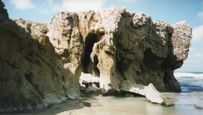 img138.jpg