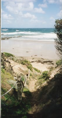img140.jpg