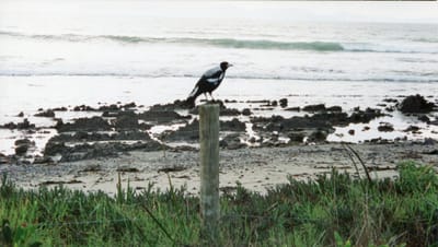 img142.jpg