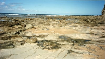 img148.jpg