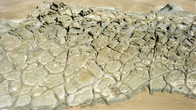 img150.jpg