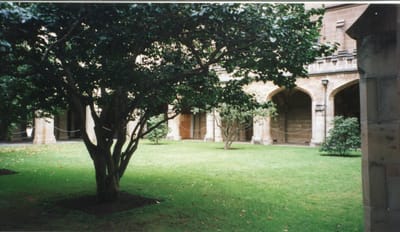 img176.jpg