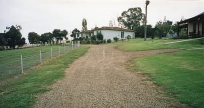 img186.jpg