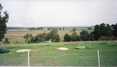 img187.jpg