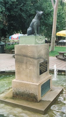 img197.jpg