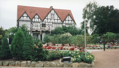 img199.jpg