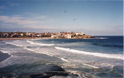 img222 Bondi.jpg