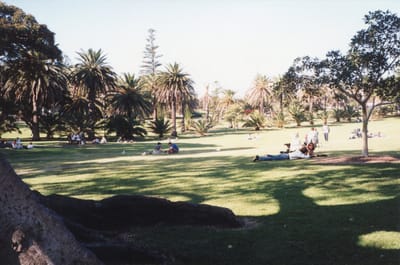 img223.jpg