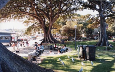 img225.jpg