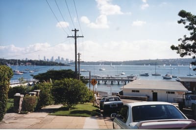 img229.jpg