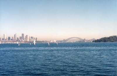 img235.jpg