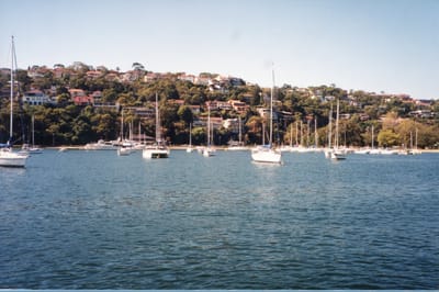 img238.jpg