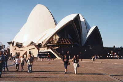 img239.jpg