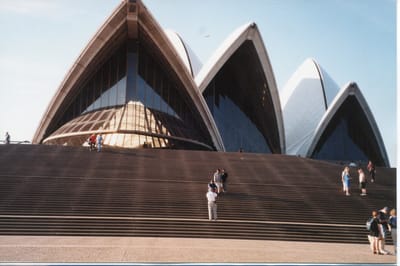 img241.jpg