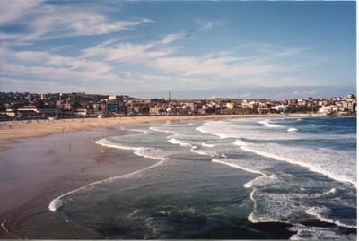 img242.jpg