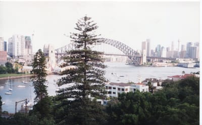 img246.jpg